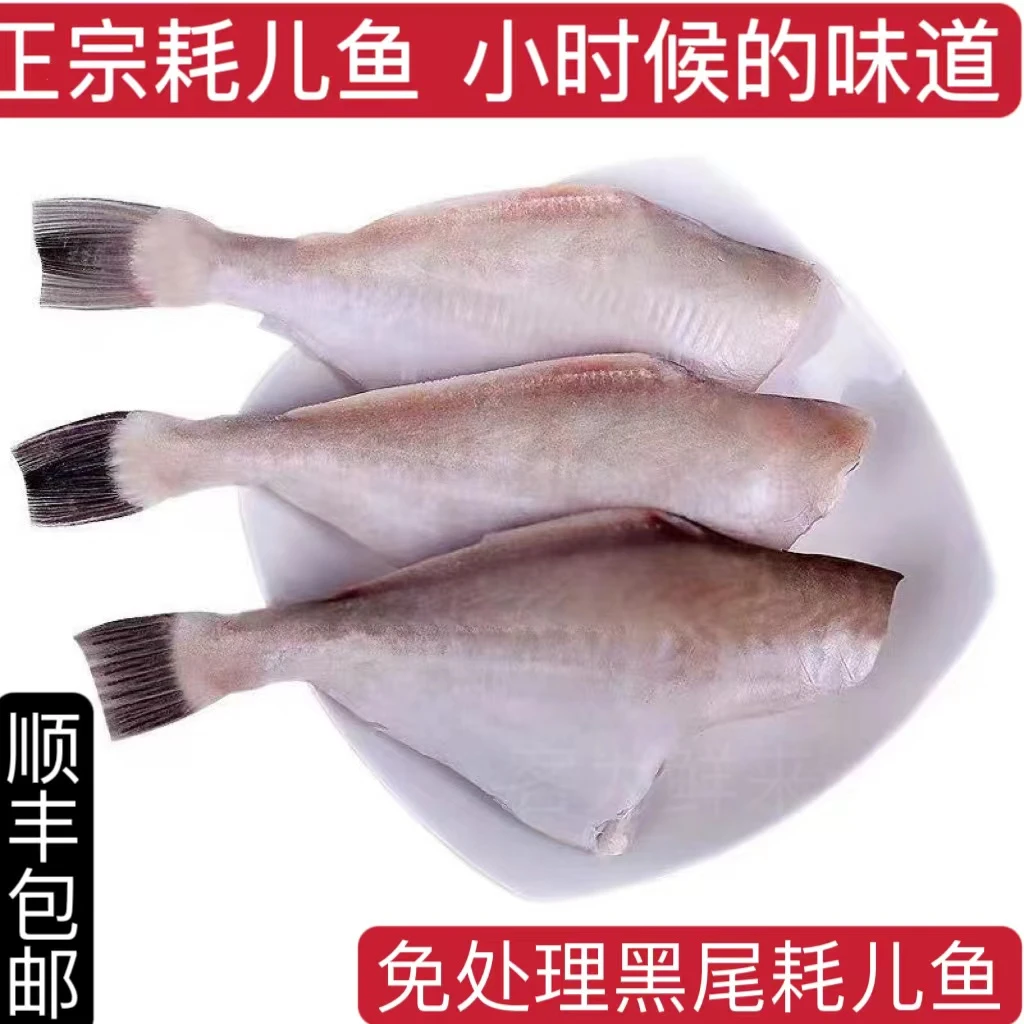 三去耗儿鱼马面鱼火锅食材剥皮鱼橡皮鱼马面鲀扒皮鱼顺丰