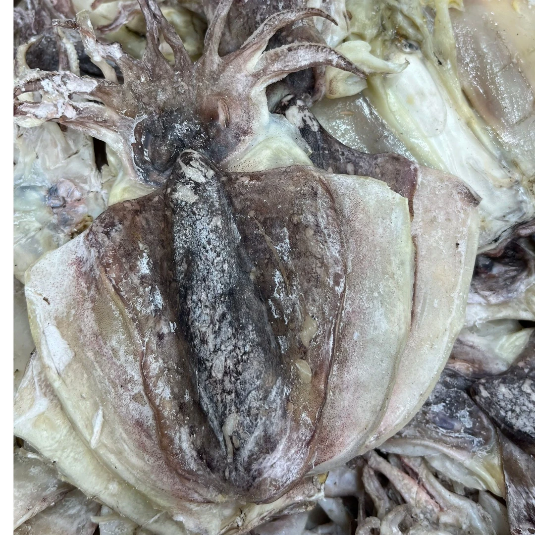 北海新鲜淡晒大墨鱼干乌贼目鱼干货无盐淡干煲汤火锅食材海产干货