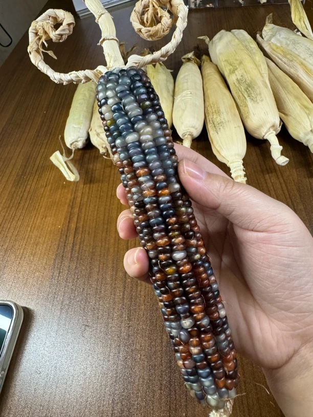 明料，一物一拍，请勿私拍