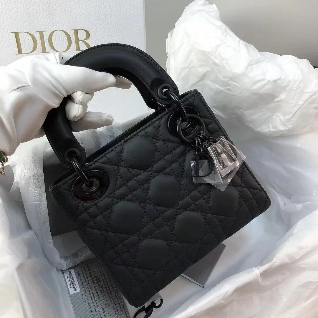 95新 DIOR/迪奥 DIOR/迪奥 单肩包 tt6094/2408