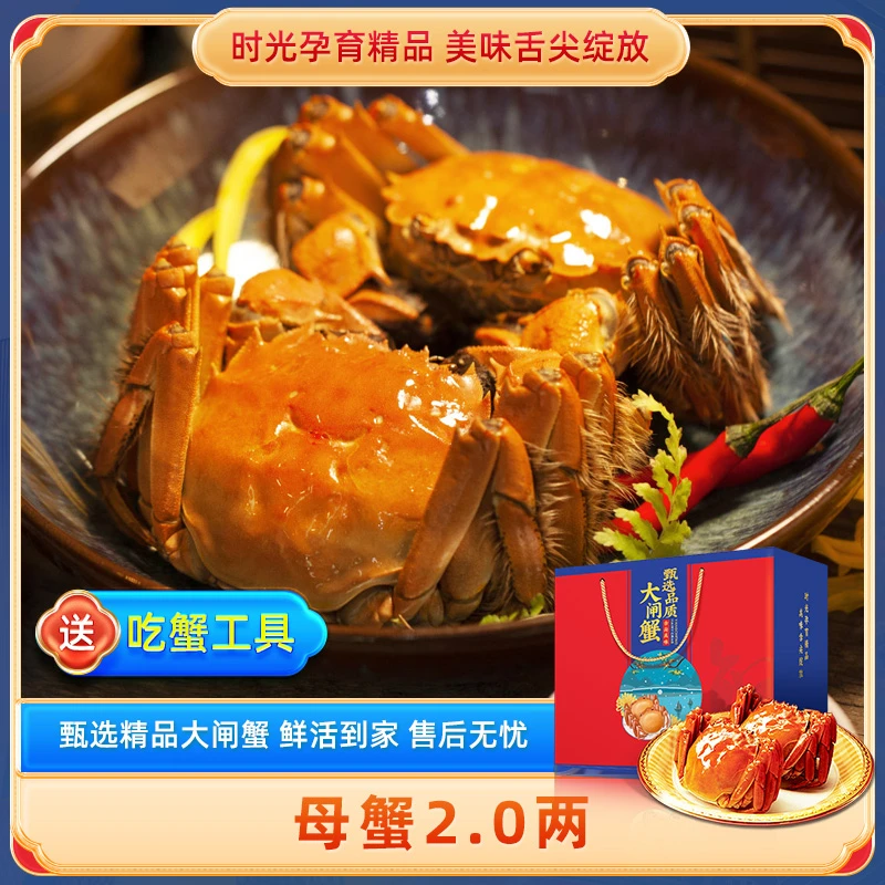 活蟹精品苏州大闸蟹母蟹2.0两 6只