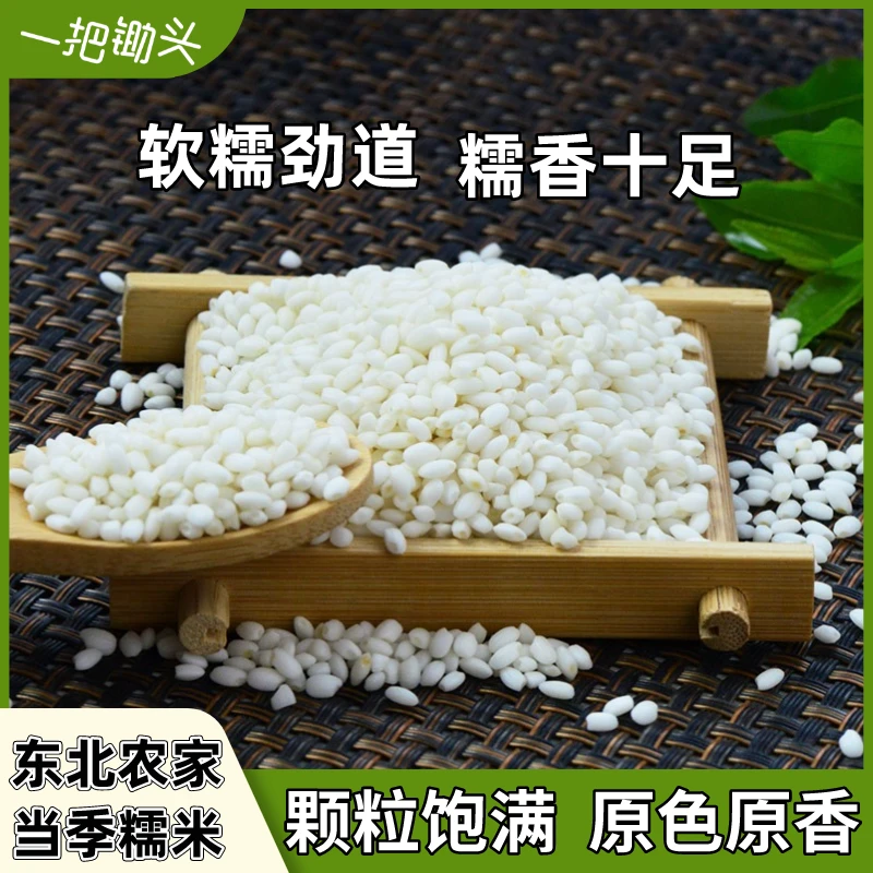 一把锄头东北农家白糯米江米杂粮粗粮新鲜饱满香糯端午包粽子饭团