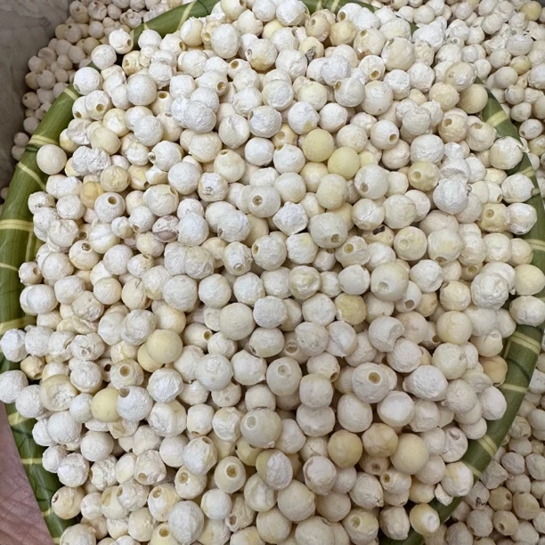 2023苏芡 鸡头米 苏州特产 干货 软糯低脂营养早餐