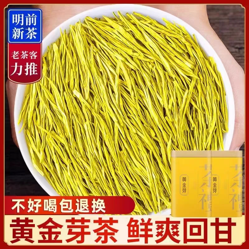 (贵点茶)黄金芽新绿茶嫩芽嫩采摘茶叶浓香型豆香味高山绿茶铁罐装