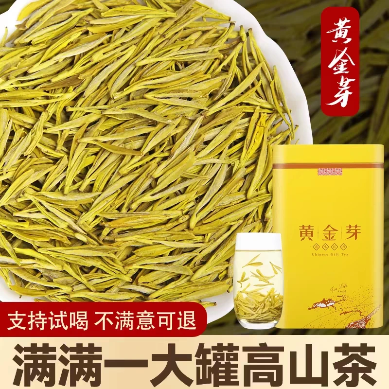 （好喝）绿茶新茶黄金芽茶叶浓香型豆香味耐泡袋装送人礼盒罐装春茶