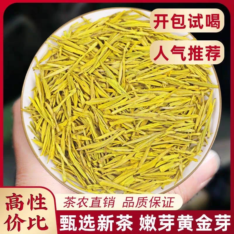 （口粮黄金芽）新茶春茶叶嫩芽雨前绿茶浓香型豆香耐泡袋罐装口粮茶