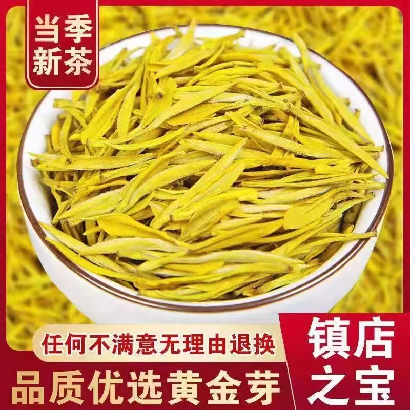 【贵点黄金芽】绿新茶高山黄金芽浓香型豆香耐泡袋罐装礼盒送礼茶叶