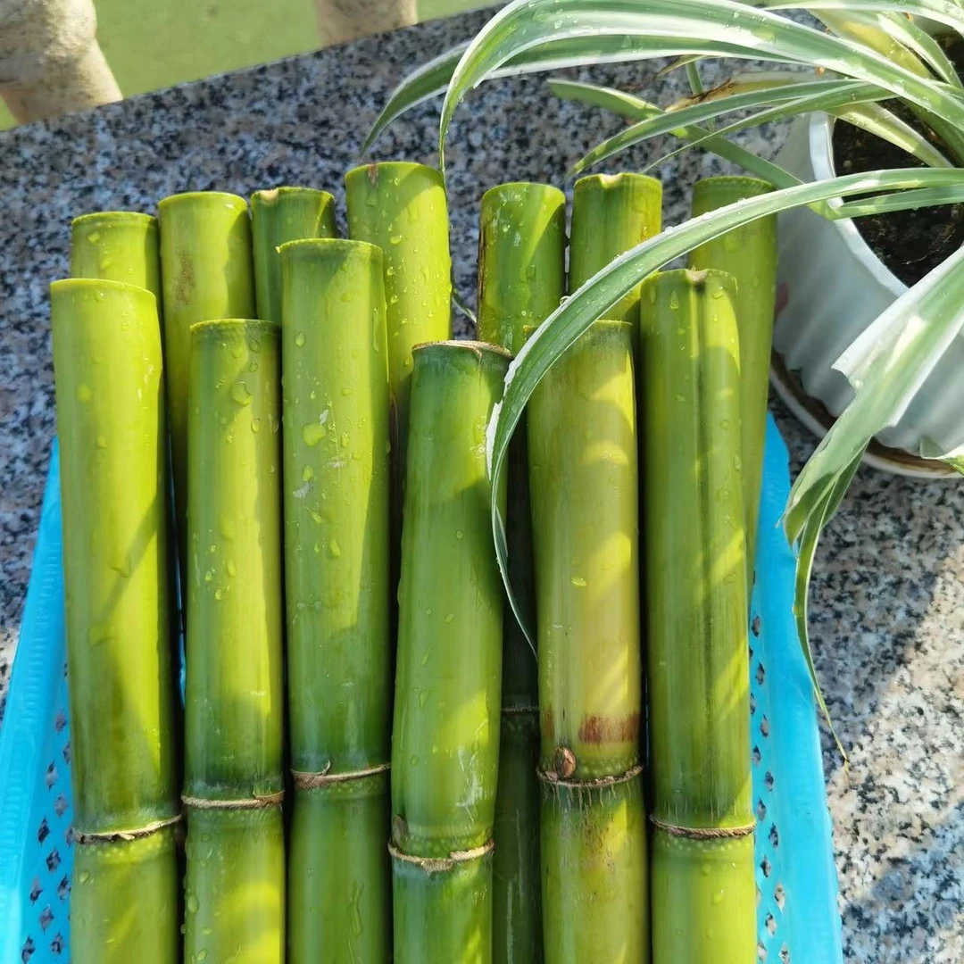 青皮甘蔗南通特产甘甜多汁 中间断5斤装顺丰