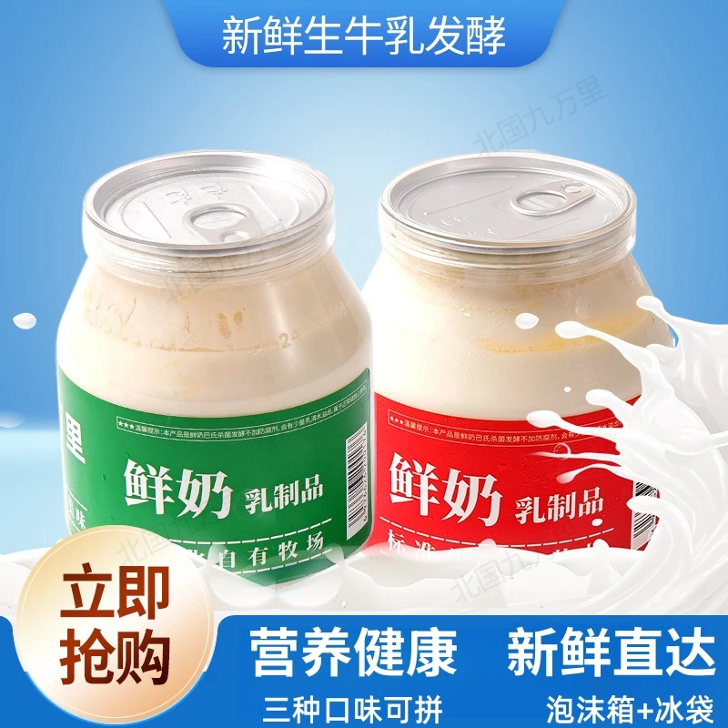 北国九万里奶皮子酸奶经典老酸奶内蒙牧场低温发酵无添加剂内蒙