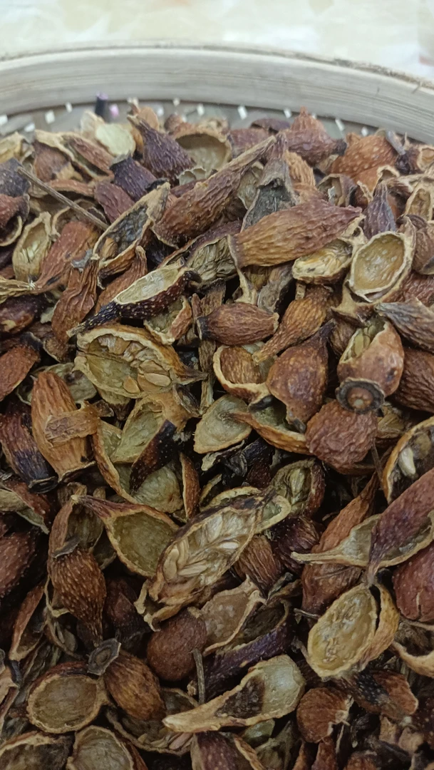 粤北深山【金婴子】根茎