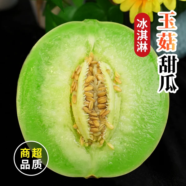 正宗山东聊城玉菇甜瓜新鲜水果应季香瓜蜜瓜冰淇淋哈脆香甜密瓜