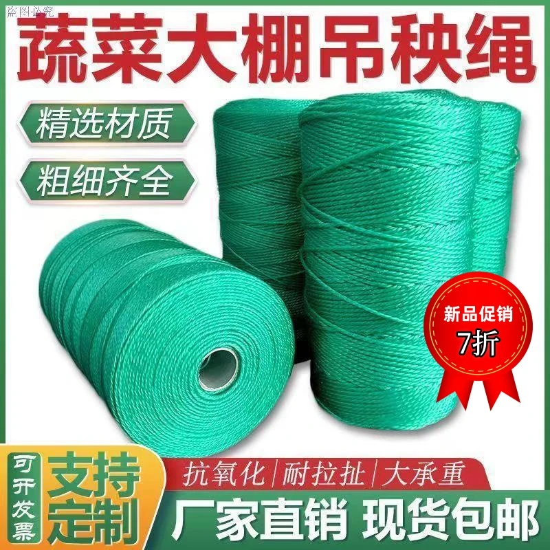吊秧绳尼龙绳大棚蔬菜拉绳西红柿黄瓜豆角茄子渔网线打包捆扎吊蔓