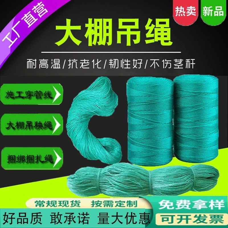 大棚吊秧绳牵引绳蔬菜黄瓜塑料绳聚乙烯尼龙绳爬藤绳子草吊蔓植物