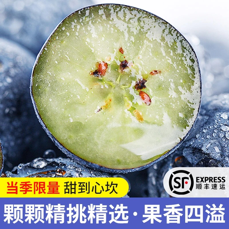 高山蓝莓当季限定宝宝杯大果18mm+花香浓郁花青素叶黄素新鲜脆甜应季水果蓝莓【顺丰送货上门】