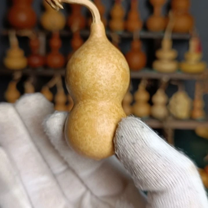 葫芦葫芦葫芦葫芦葫芦葫芦