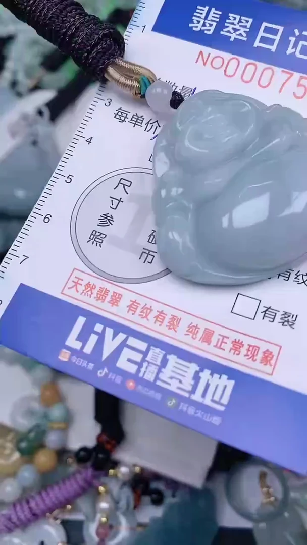 【闪购商品】翡翠颈饰未镶嵌00007579