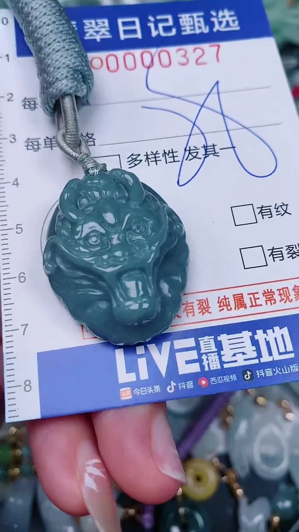 【闪购商品】翡翠颈饰未镶嵌00000327