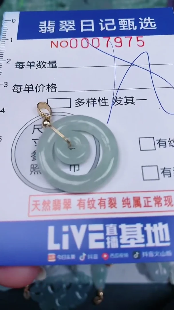 【闪购商品】翡翠颈饰未镶嵌00007975