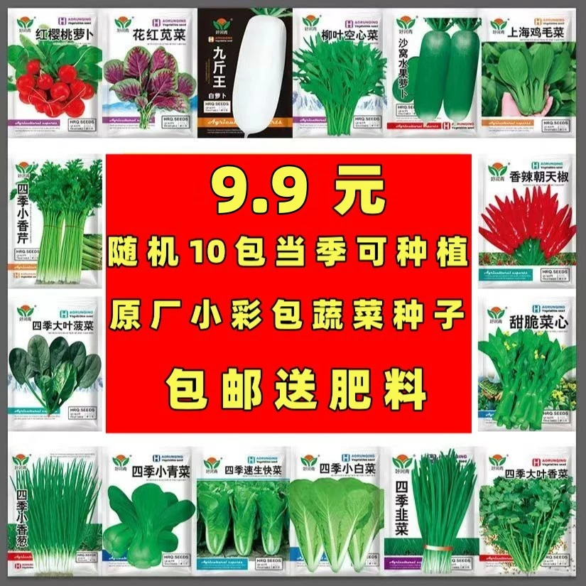 【 宠粉 9.9元10包福利】蔬菜种子当季可种原厂小彩包四季播种阳台