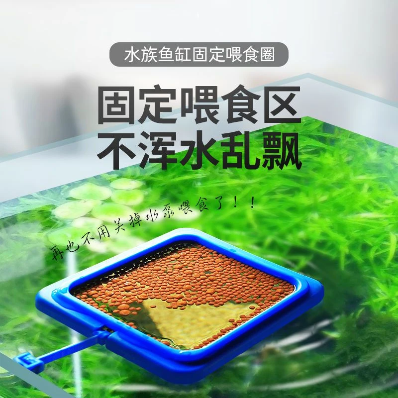 鱼缸喂食器防飘散漂浮喂食圈投食器投食圈鱼食投喂器喂鱼饲料固定