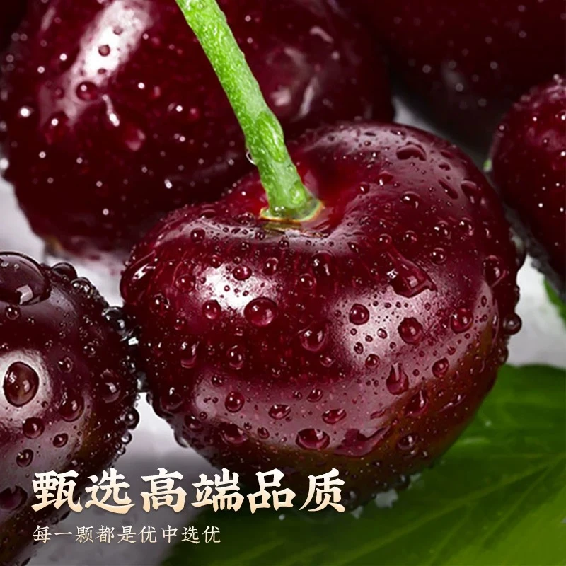 智利车厘子桑提娜2-5斤3-4J海运进口脆甜多汁5 内附果径卡