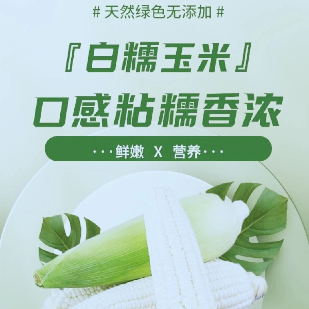 恩施硒都白糯玉米整箱包邮10根新鲜营养天然鲜甜甄选采摘