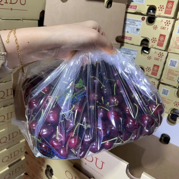 （5斤原箱未拆封 ）大鹿牌 桑提娜 智利车厘子2j级大果 顺丰快递