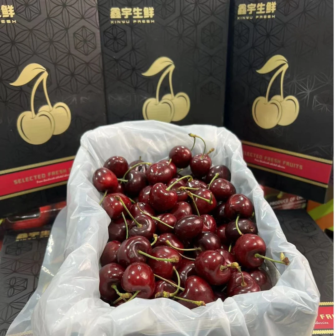 （精美礼盒装）智利空运车厘子JJ级大果 桑提娜3-5斤大果 顺丰快递