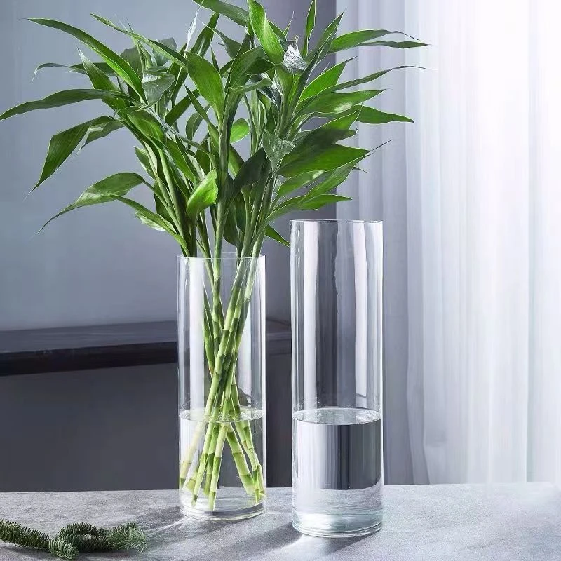 玻璃瓶富贵竹插花花瓶
