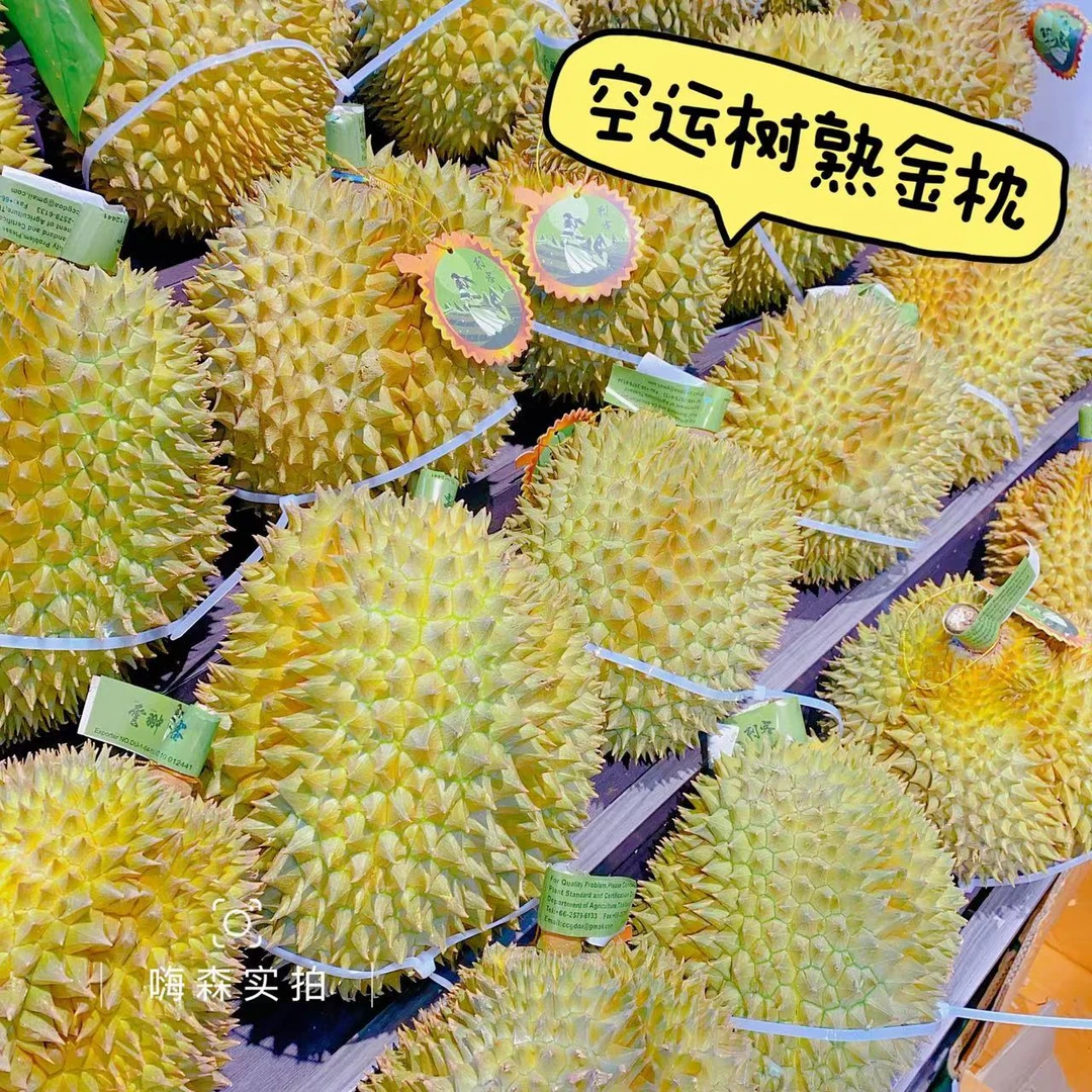 ✈️空运树熟金枕榴莲（保40%出肉率）
