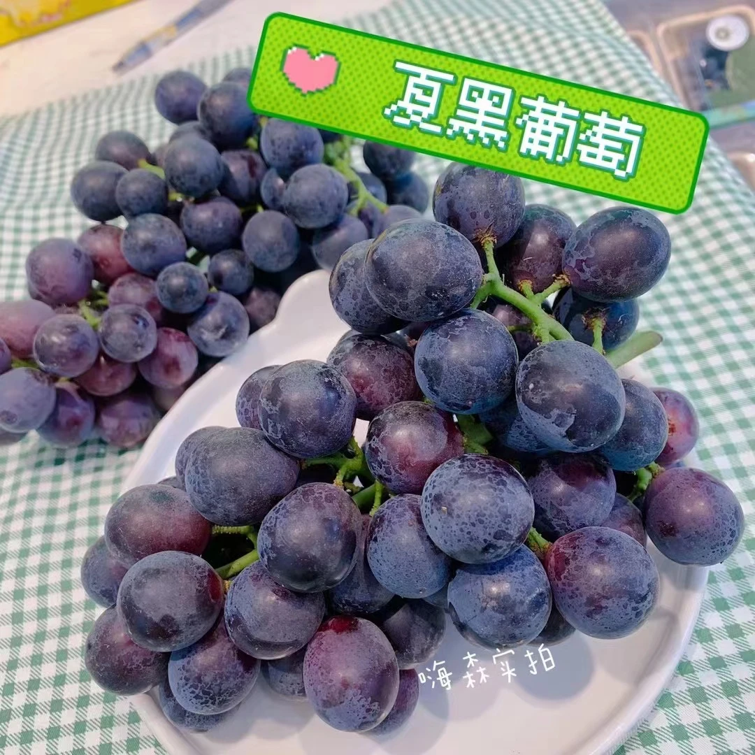 夏黑葡萄（甜度棒！）