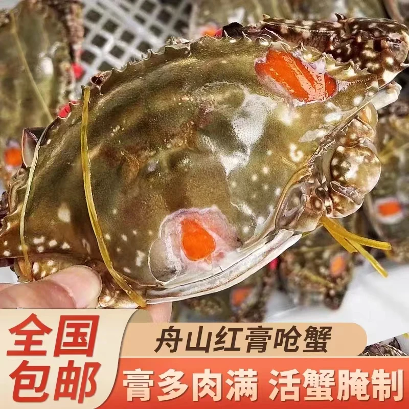 【顺丰冷链】6-8两舟山红膏呛蟹 野生 母蟹 梭子蟹 咸呛蟹 宁波特产