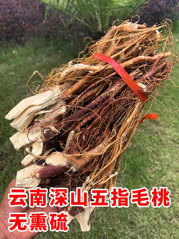 云南特产 五指毛桃野山货  -1捆-   泡水煲汤农产品500g-600g