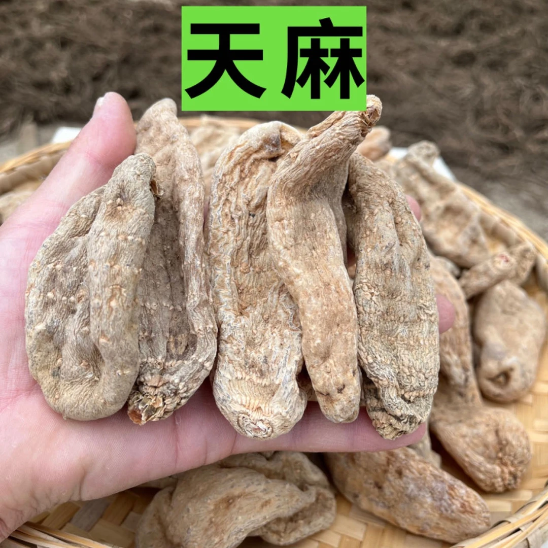 天麻 西秦岭天麻 精选大个天麻250克 可搭配当归煲汤