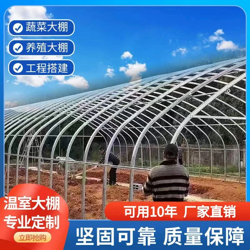 新型户外养殖骨架全套钢管定制蔬菜种植温室连体大棚鸡鸭鹅猪牛羊