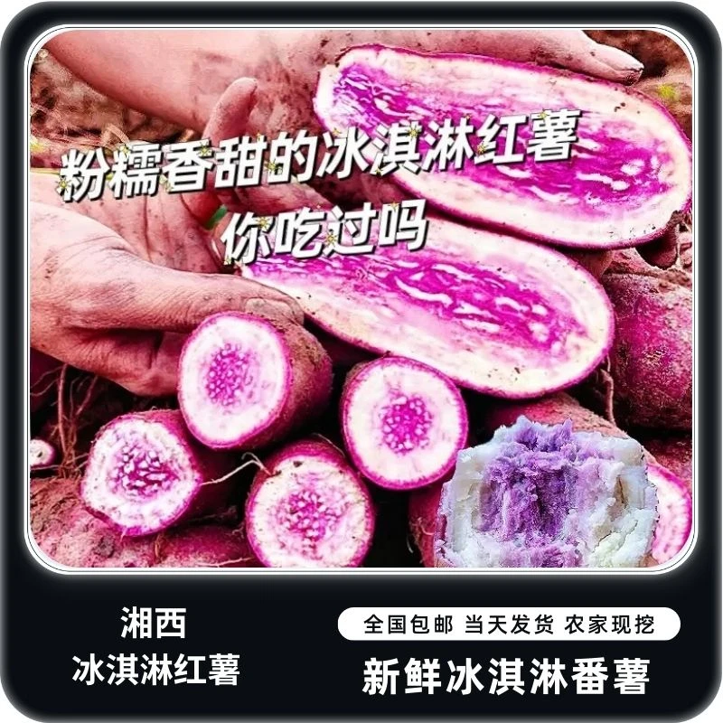芙蓉镇土特产 冰淇淋红薯 新鲜当季紫番薯1500-500g
