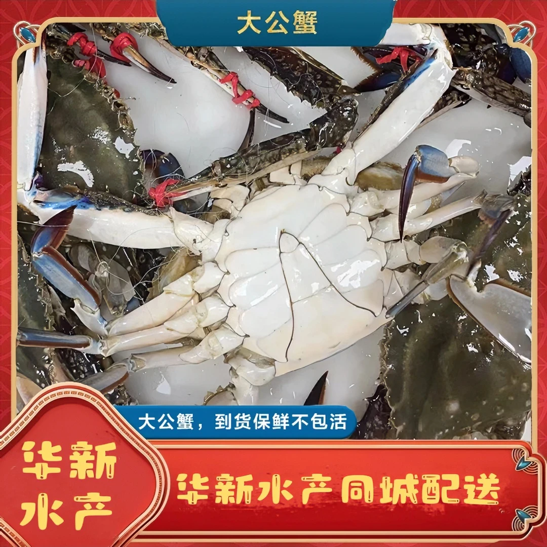 【保鲜不保活】公蟹 单只3两到8两左右 2-5斤
