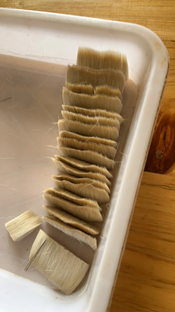 昊轩笔庄临时链接4