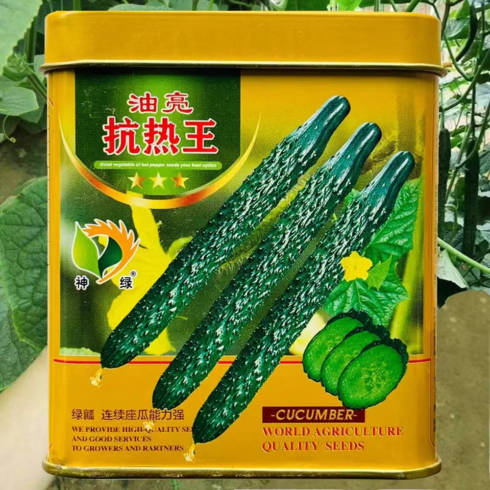 神绿油亮抗热王黄瓜种子 春秋季播种瓜条顺直刺密黄瓜种子