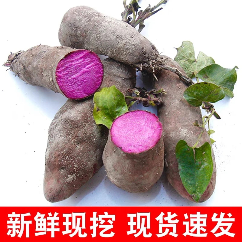 赣南紫山药新鲜脚板薯紫大薯江西赣州紫淮山毛薯农产品蔬菜10