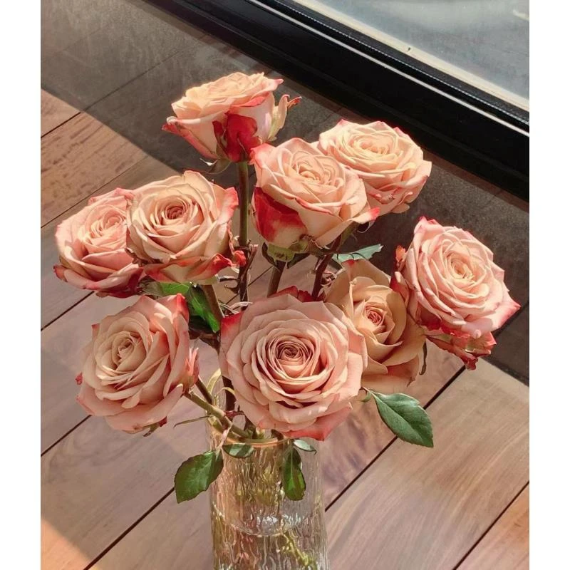 【卡布奇诺玫瑰】云南鲜花基地直发家用鲜花 任意拍三单送花瓶