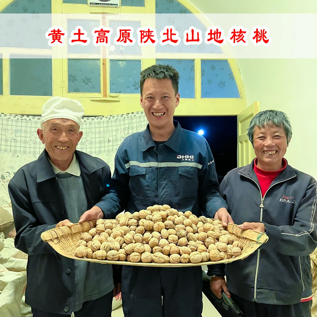 陕北农家山地核桃包邮(送核桃夹子)