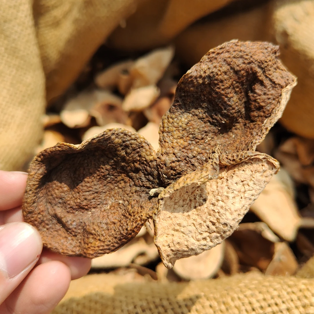 【浓郁薄荷香】2009东甲圈枝二红皮正宗新会陈皮收藏纯生晒干仓润喉