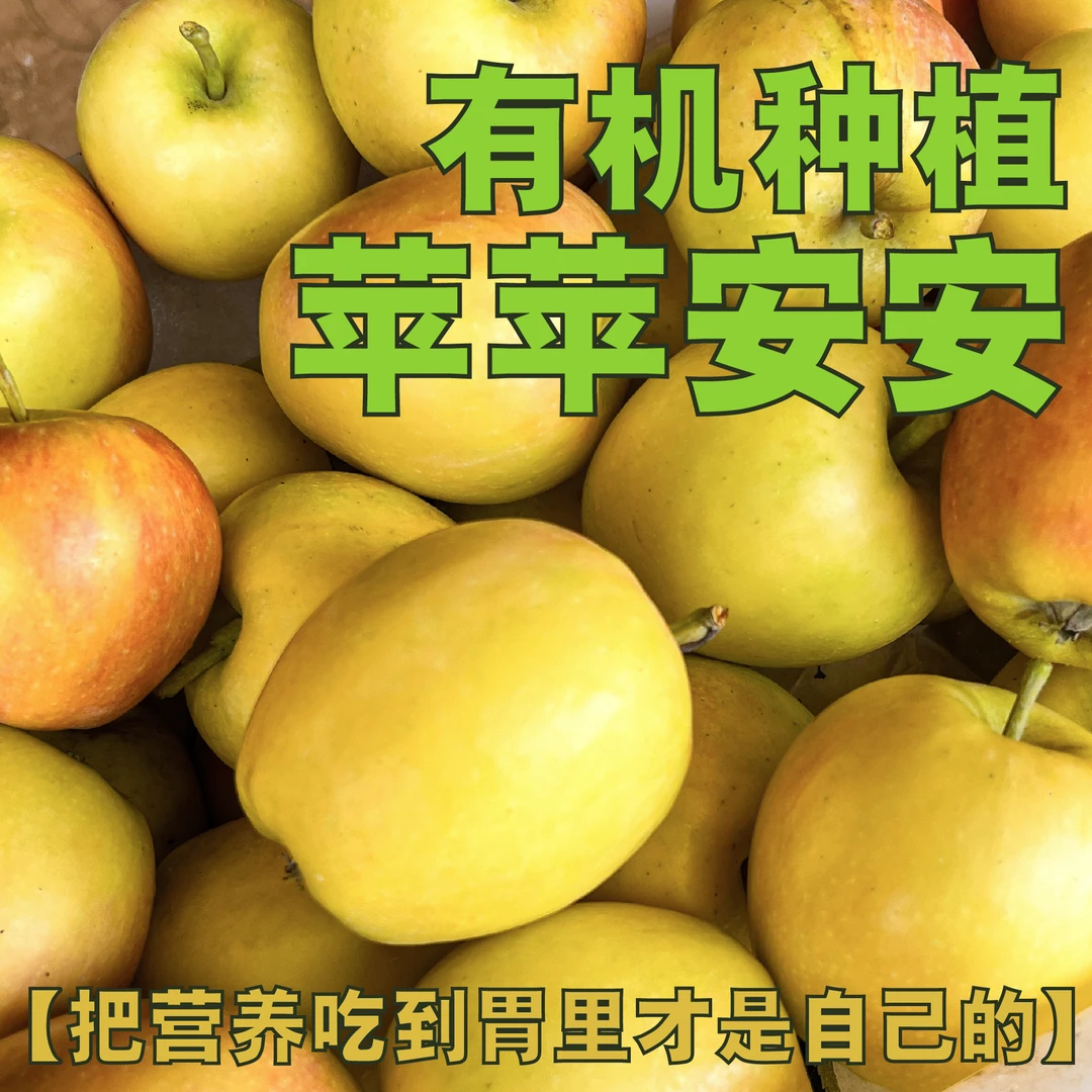 2025新鲜采摘有机华硕苹果前期脆后期面果肉扎实果香浓郁红绿混发