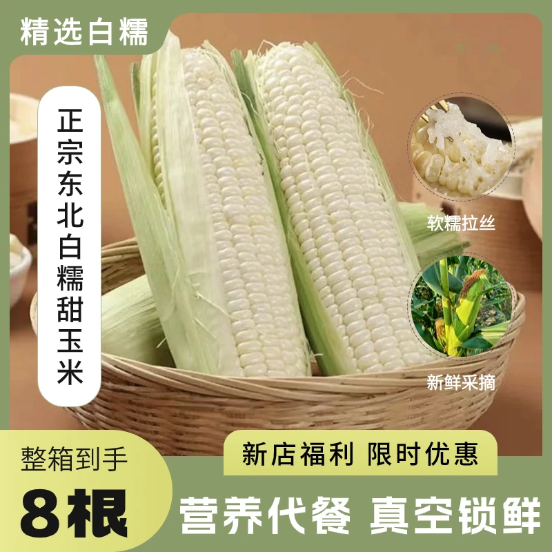 东北糯甜白糯玉米8根粘糯代餐0添加真空锁鲜包装董赤赤掰玉米粗粮