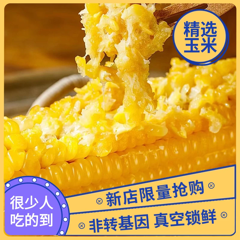 东北黑龙江真空包装黄糯玉米金黄新鲜加工香糯营养食用代餐糯玉米