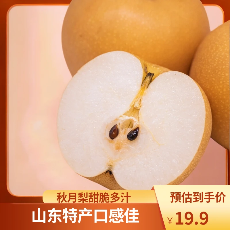 山东特产正宗秋月梨脆甜多汁生态种植自然成熟