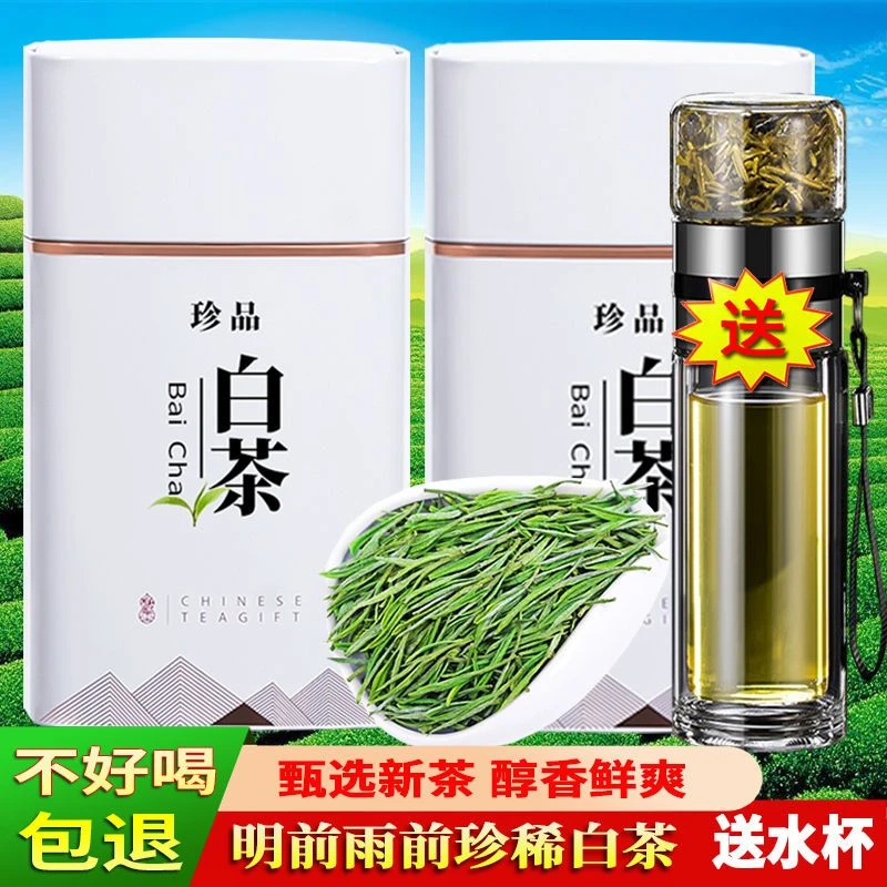 珍稀白茶2025年新茶正宗高山春茶绿茶特级明前头采嫩芽罐装礼盒装