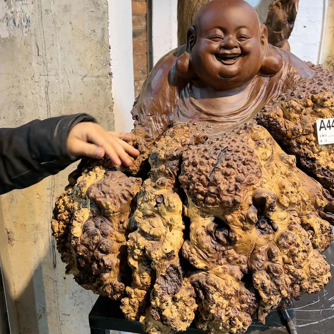 【闪购商品】乌木根雕K*
