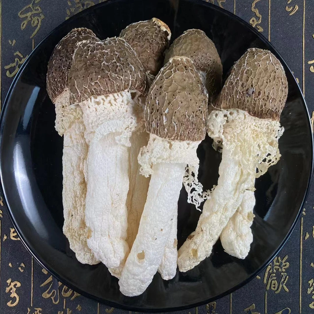 【宠粉专属】靓靓带帽竹荪 （桃）